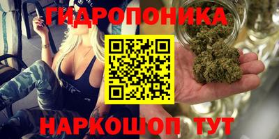 хмурый Конаково