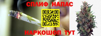 дживик Коммунар