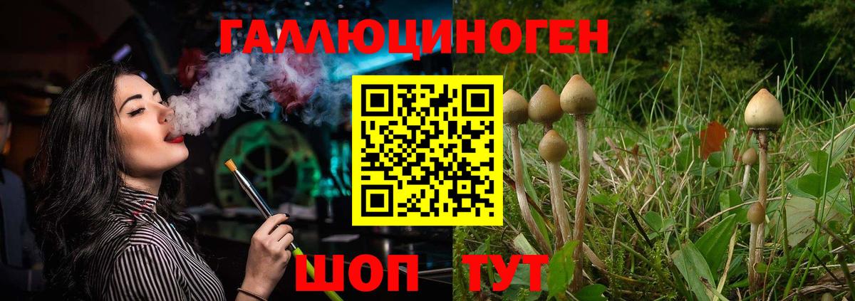 Галлюциногенные грибы Magic Shrooms Кировск