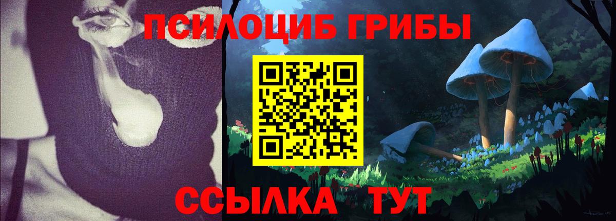 Псилоцибиновые грибы ЛСД  Вход с VPN  Кировск 